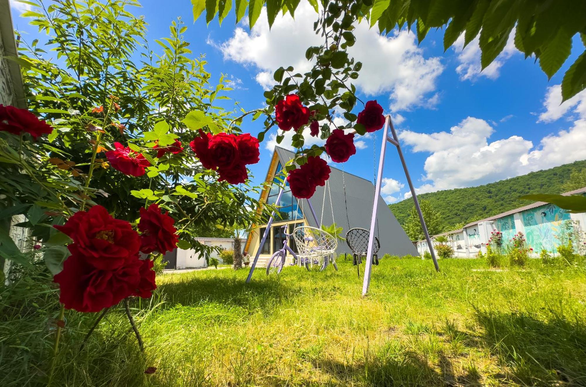 Qafqaz Family Chalet Gabala Εξωτερικό φωτογραφία
